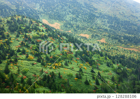 秋の八甲田山 128288106