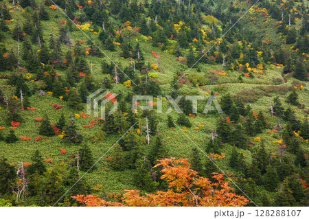 秋の八甲田山 秋の八甲田山 128288107