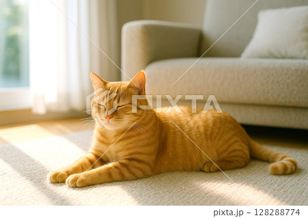 猫の日常　リラックスする猫のいる生活　ソファの前 128288774