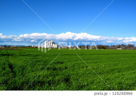 広々とした田園風景 128288966