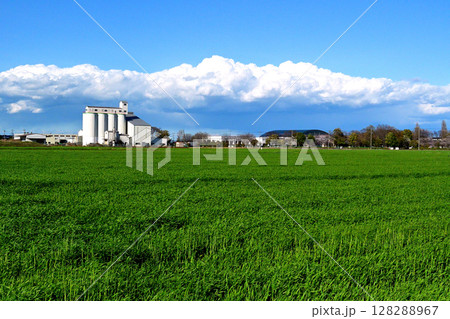 広々とした田園風景 128288967