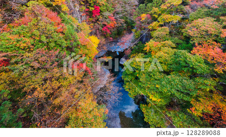 付知峡（秋） 128289088