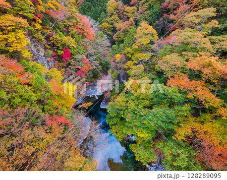 付知峡（秋） 128289095