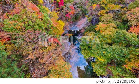 付知峡(秋) 付知峡(秋) 128289100