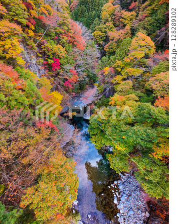 付知峡（秋） 128289102