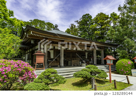 四国八十八箇所40番　観自在寺　大師堂　愛媛県愛南町 128289144