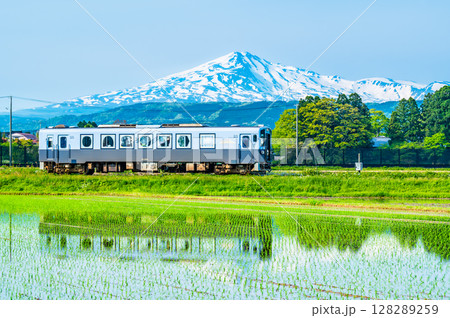 由利高原鉄道 鳥海山を背景に水田を駆ける列車(曲沢-前郷) 由利高原鉄道 鳥海山を背景に水田を駆ける列車(曲沢-前郷) 128289259