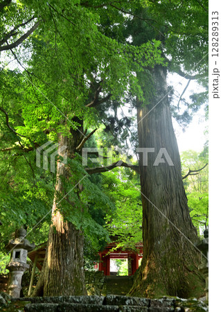 御嶽山真福院(大杉・山門)　【三重県津市美杉町】 128289313