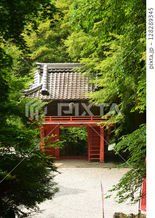 御嶽山真福院(山門)　【三重県津市美杉町】 128289345