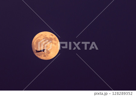 fly to the red moon 128289352