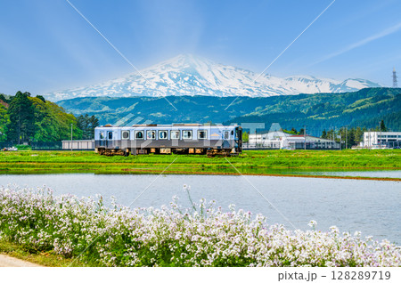 由利高原鉄道　鳥海山を背景に水田を駆ける列車（曲沢-前郷） 128289719