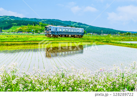 由利高原鉄道 水田を駆ける列車(曲沢-前郷) 由利高原鉄道 水田を駆ける列車(曲沢-前郷) 128289722