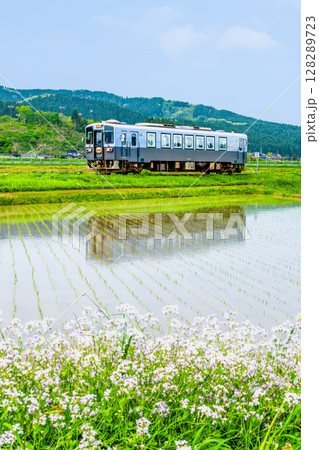 由利高原鉄道 水田を駆ける列車(曲沢-前郷) 由利高原鉄道 水田を駆ける列車(曲沢-前郷) 128289723