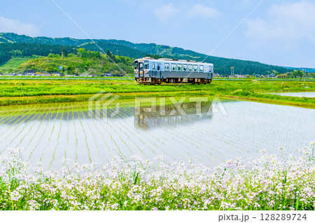 由利高原鉄道 水田を駆ける列車(曲沢-前郷) 由利高原鉄道 水田を駆ける列車(曲沢-前郷) 128289724