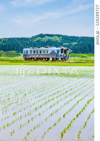 由利高原鉄道　水田を駆ける列車（曲沢-前郷） 128289727