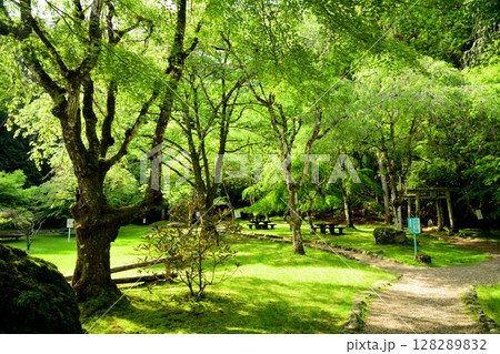 あきつの小野公園　【奈良県川上村】 128289832
