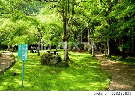 あきつの小野公園 【奈良県川上村】 あきつの小野公園 【奈良県川上村】 128289833