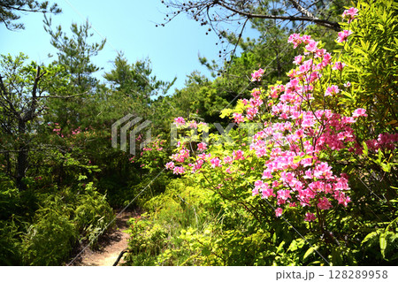 大辺路・馬転び坂 【和歌山県すさみ町】 大辺路・馬転び坂 【和歌山県すさみ町】 128289958