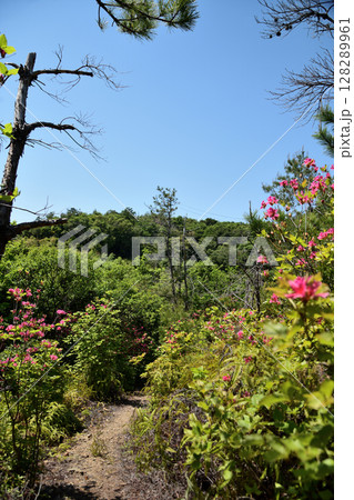 大辺路・馬転び坂 【和歌山県すさみ町】 大辺路・馬転び坂 【和歌山県すさみ町】 128289961