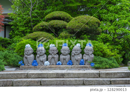 東福寺　霊源院のお地蔵さんと紫陽花 128290013