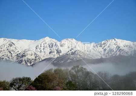 野平集落から北アルプスを望む(雲海)　【長野県白馬村】 128290068