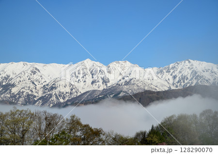 野平集落から北アルプスを望む(雲海) 【長野県白馬村】 野平集落から北アルプスを望む(雲海) 【長野県白馬村】 128290070