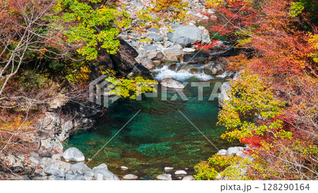 付知峡(秋) 付知峡(秋) 128290164