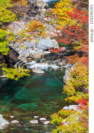 付知峡（秋） 128290165