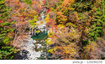 付知峡（秋） 128290250