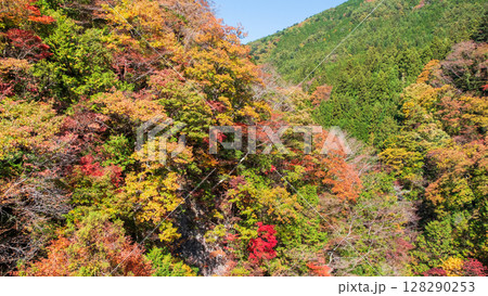 付知峡（秋） 128290253