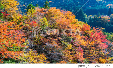 付知峡(秋) 付知峡(秋) 128290267