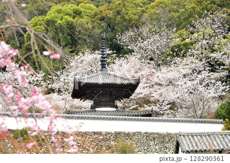 長保寺(多宝塔) 【和歌山県海南市下津】 長保寺(多宝塔) 【和歌山県海南市下津】 128290361