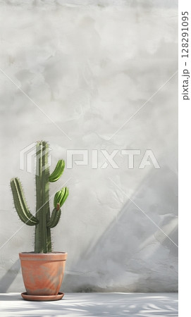 Blank wall concrete white with cactus potted decoration vintage building 128291095