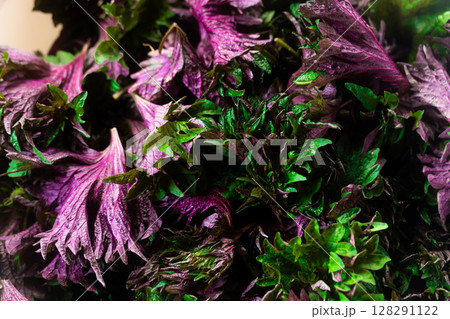 夏の香り赤紫蘇の葉 128291122