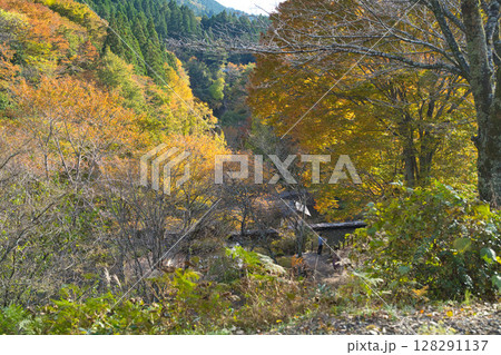 秋色に包まれた山里の小道 128291137