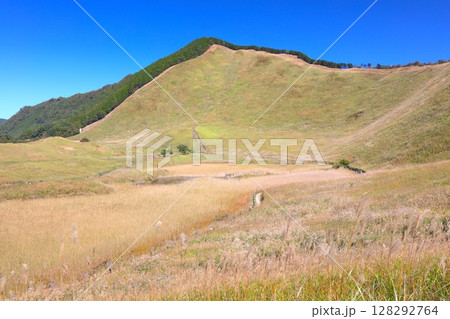 曽爾高原のススキの大群生/お亀池/倶留尊山/室生赤目青山国定公園 曽爾高原のススキの大群生/お亀池/倶留尊山/室生赤目青山国定公園 128292764
