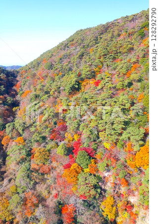 六甲有馬ロープウェーから望む六甲山、湯槽谷の紅葉/瀬戸内海国立公園 128292790