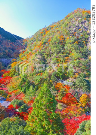 六甲有馬ロープウェーから望む六甲山、有馬温泉の紅葉/瀬戸内海国立公園 六甲有馬ロープウェーから望む六甲山、有馬温泉の紅葉/瀬戸内海国立公園 128292795