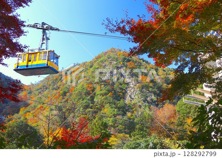 六甲有馬ロープウェー、有馬温泉駅付近と六甲山、有馬温泉の紅葉（灰形山）/瀬戸内海国立公園 128292799