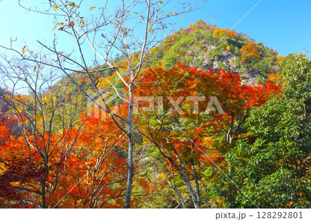 六甲有馬ロープウェー、有馬温泉駅付近と六甲山、有馬温泉の紅葉(灰形山)/瀬戸内海国立公園 六甲有馬ロープウェー、有馬温泉駅付近と六甲山、有馬温泉の紅葉(灰形山)/瀬戸内海国立公園 128292801