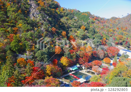 六甲有馬ロープウェーから望む雄大な六甲山、有馬温泉の紅葉/瀬戸内海国立公園 128292803