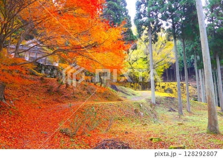 那岐山の山麓にある「菩提寺の大イチョウ」/国指定天然記念物 那岐山の山麓にある「菩提寺の大イチョウ」/国指定天然記念物 128292807