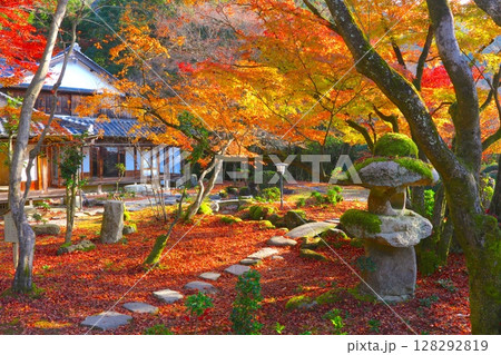 聚遠亭(しゅうえんてい)の紅葉/龍野城、龍野公園にある日本庭園 聚遠亭(しゅうえんてい)の紅葉/龍野城、龍野公園にある日本庭園 128292819
