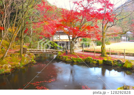 聚遠亭(しゅうえんてい)の紅葉/龍野城、龍野公園にある日本庭園 聚遠亭(しゅうえんてい)の紅葉/龍野城、龍野公園にある日本庭園 128292828