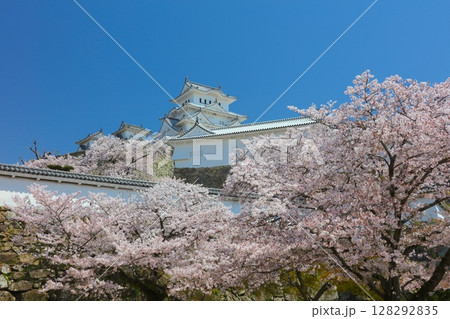 「世界文化遺産」「国宝」姫路城、三の丸広場より満開の桜/平成百景/日本さくら名所100選/日本100 「世界文化遺産」「国宝」姫路城、三の丸広場より満開の桜/平成百景/日本さくら名所100選/日本100 128292835