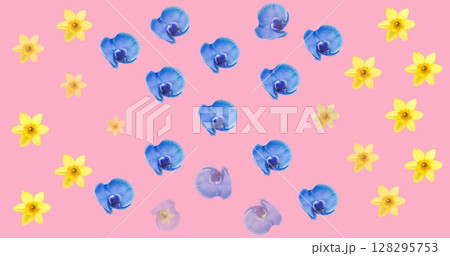 Image of multiple blue and yellow flowers moving over pink background Image of multiple blue and yellow flowers moving over pink background 128295753