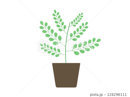 観葉植物のシンプルなイラスト 128296111