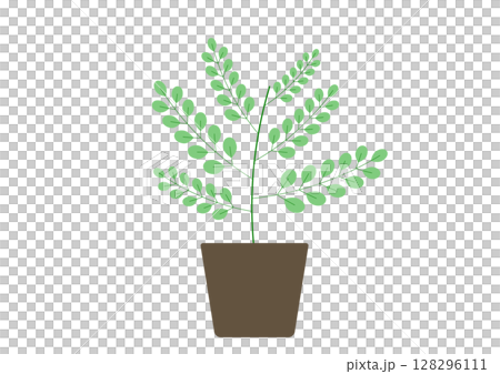 観葉植物のシンプルなイラスト 128296111