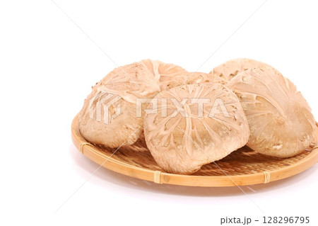 しいたけ　生どんこ　大きい　明るい背景 128296795