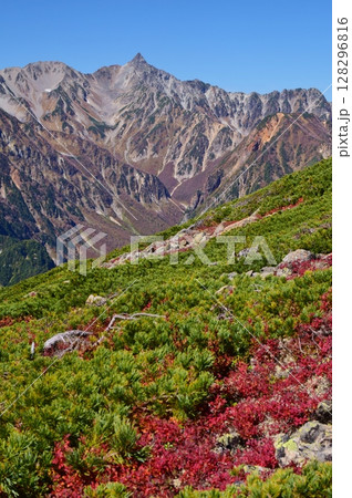 蝶ヶ岳から望む穂高連峰と槍ヶ岳 128296816